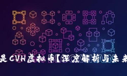 什么是CVH虚拟币？深度解析与未来展望