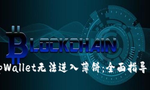如何解决tpWallet无法进入薄饼：全面指导与解决方案