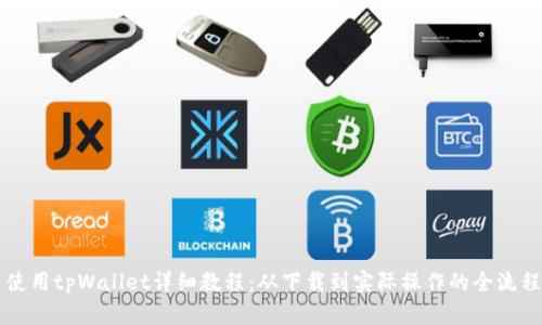 国内使用tpWallet详细教程：从下载到实际操作的全流程指南
