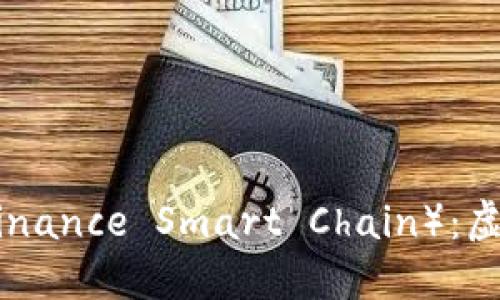 深入了解BSC（Binance Smart Chain）：虚拟币协议的未来