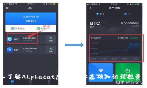 深入了解ALphacat虚拟币：从基础知识到投资策略