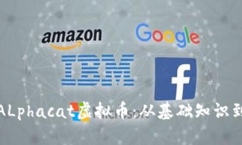 深入了解ALphacat虚拟币：从基础知识到投资策略