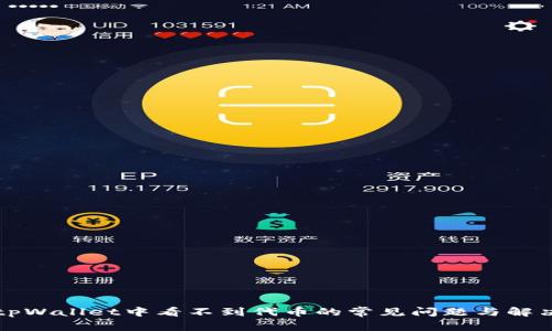 解决tpWallet中看不到代币的常见问题与解决方案