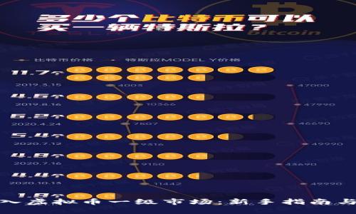 如何成功进入虚拟币一级市场：新手指南与全方位策略