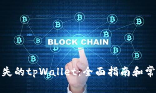 如何找回丢失的tpWallet：全面指南和常见问题解答