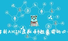 深入解析AMIN虚拟币：投资