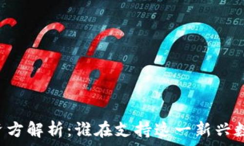   
tpWallet投资方解析：谁在支持这一新兴数字钱包项目？