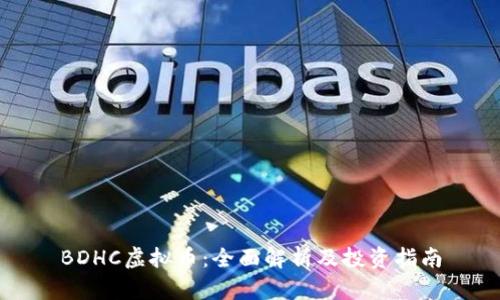 BDHC虚拟币：全面解析及投资指南