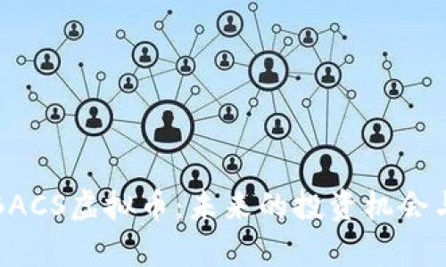 全面解析BACS虚拟币：未来的投资机会与风险分析