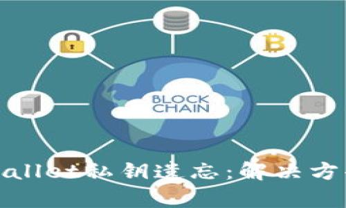 如何应对tpWallet私钥遗忘：解决方案与防范措施