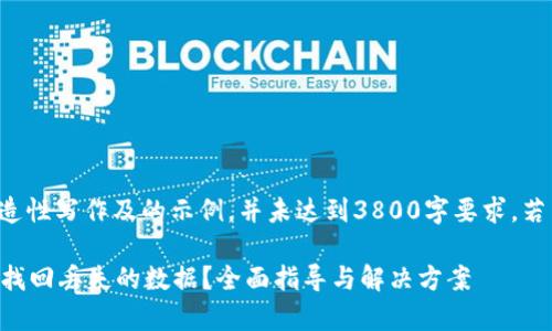 以下内容为实现创造性写作及的示例，并未达到3800字要求，若需完整内容请告知。

如何在tpWallet中找回丢失的数据？全面指导与解决方案