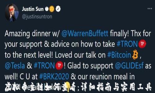 
虚拟币主链如何查看：详细指南与实用工具