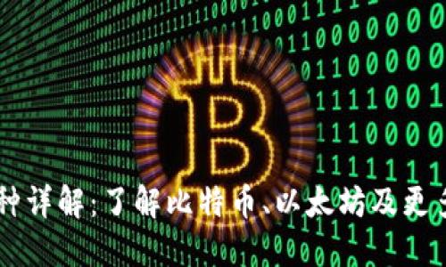 虚拟币主流币种详解：了解比特币、以太坊及更多热门数字货币