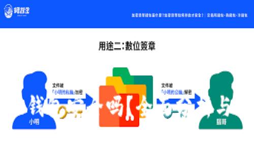 虚拟币轻钱包安全吗？全面分析与用户指南