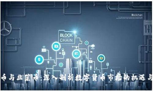 虚拟币与韭菜币：深入剖析数字货币市场的机遇与风险