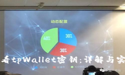 如何查看tpWallet密钥：详解与实用指南