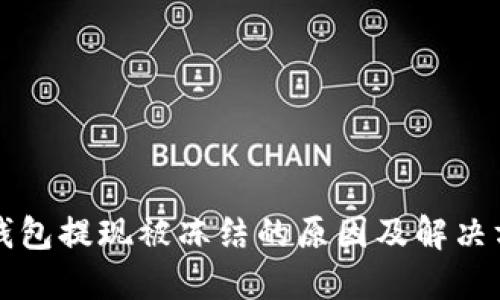 虚拟币钱包提现被冻结的原因及解决方法详解