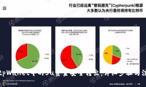 如何将tpWallet中的5u资金安全转出：详细步骤与注意事项