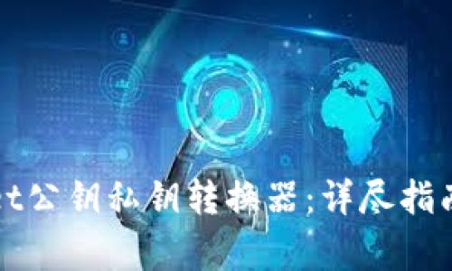 如何使用tpWallet公钥私钥转换器：详尽指南与常见问题解答