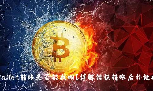 tpWallet转账是否能找回？详解错误转账后补救措施