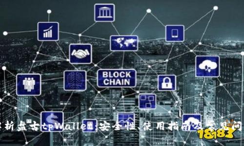 全面解析盘古tpWallet：安全性、使用指南及常见问题解答