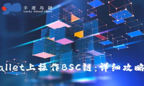 如何在tpWallet上操作BSC链：详细攻略与实用技巧