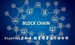 Dogeking虚拟币：投资前景与