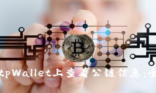 如何在tpWallet上查看公链信息：全面指南