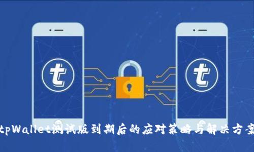 tpWallet测试版到期后的应对策略与解决方案