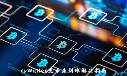  
tpWallet充币未到账解决指南